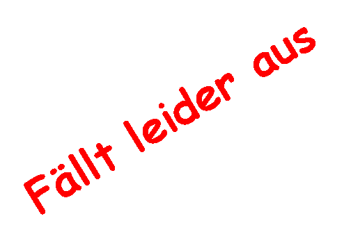 Textfeld: Fllt leider aus